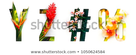 [[stock_photo]]: Erbe · Alphabet · A · Z