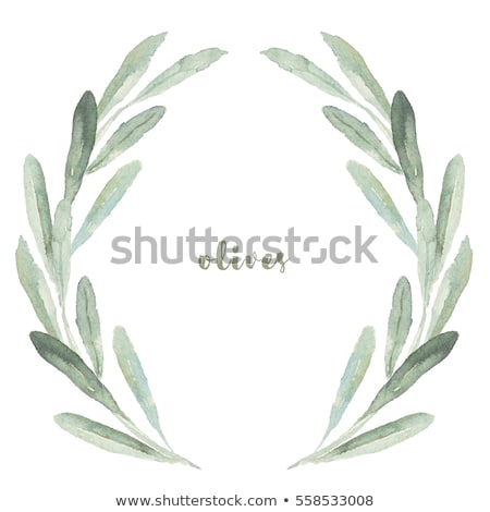 Сток-фото: Olive Branch Wreath