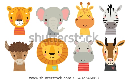 Stockfoto: African Zebra Cartoon Animal Character