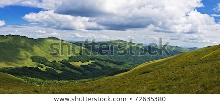 Panoramic Green Mountain Bieszczady [[stock_photo]] © pixelman