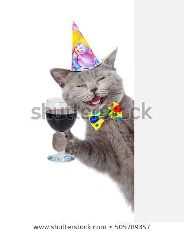 Stock fotó: Birthday Card With Funny Cat