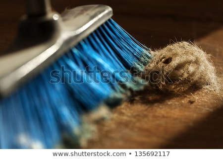 Foto stock: Fur Ball Broom Macro