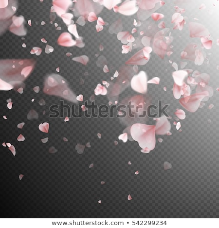 Stok fotoğraf: Pink Sakura Petals Background Eps 10
