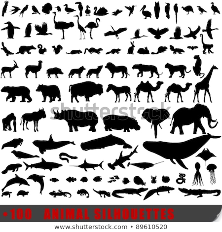 Camel Icon Silhouette Design Wild Animal Symbol And Element Isolated On White Background Vintage H Stockfoto © glyph