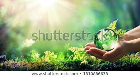 ストックフォト: Glass Globe Or Earth In Grass