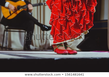 Stock fotó: Young Flamenco Dancer In Beautiful Dress On Black Background