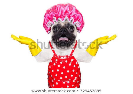 Foto stock: Dog Doing Household Chores