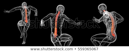 Stock fotó: 3d Rendering Medical Illustration Of The Talus Bone