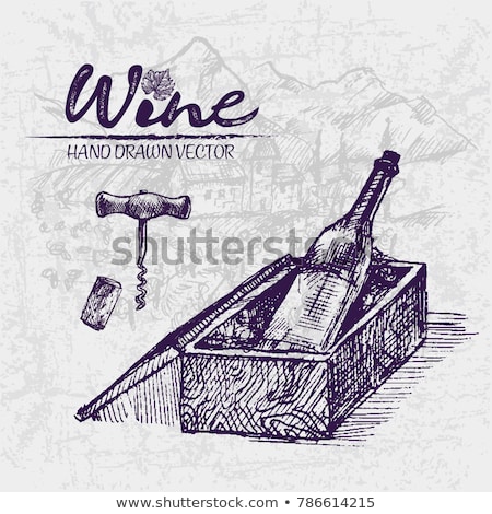Stockfoto: Digital Color Vector Line Art Wine Bottle