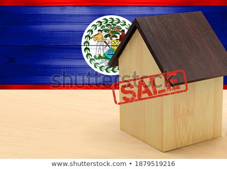 ストックフォト: House With Flag Of Belize