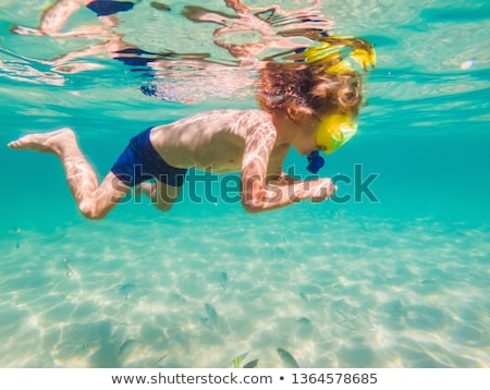 Stock fotó: Underwater Nature Study Boy Snorkeling In Clear Blue Sea