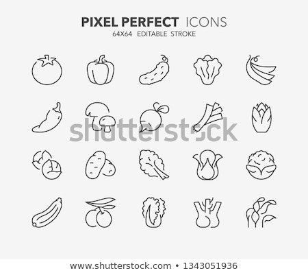 [[stock_photo]]: Leek Line Icon