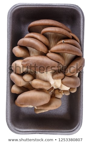 Stok fotoğraf: Fresh Edible Mushrooms