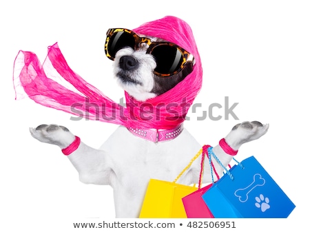 Stock photo: Shopping Dog Diva
