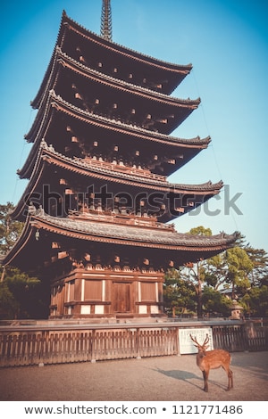 Foto stock: Deer In Front Of Kofuku Ji Temple Pagoda Nara Japan