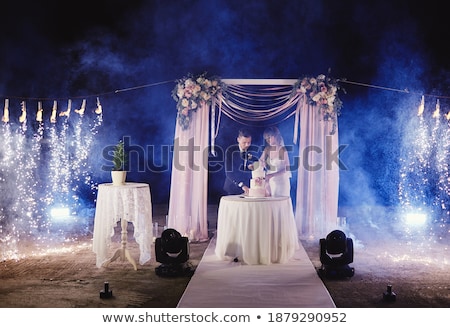 Zdjęcia stock: Happy Bride And Groom Cut The Cake Evening Ceremony