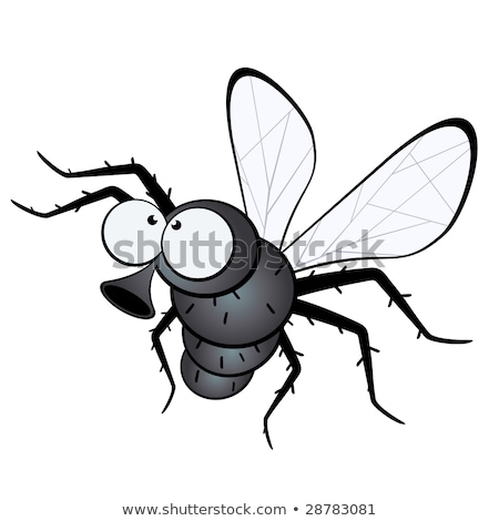 Stock fotó: Funny Fly Insect Comic Animal Character