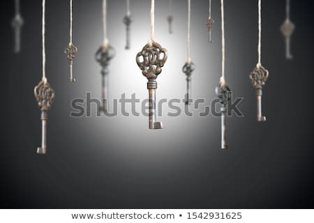 Stock foto: The Right Key