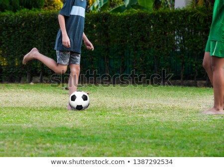 ストックフォト: Sports Training Cones On Soccer Pitch