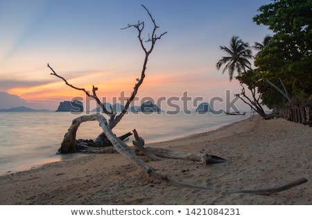Сток-фото: Sunset At The Beach Of The Koh Ngai Island Thailand
