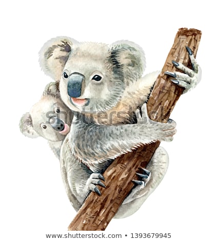 Foto stock: Koalas In Love