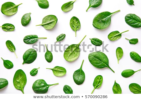 Stockfoto: Raw Spinach Leafs