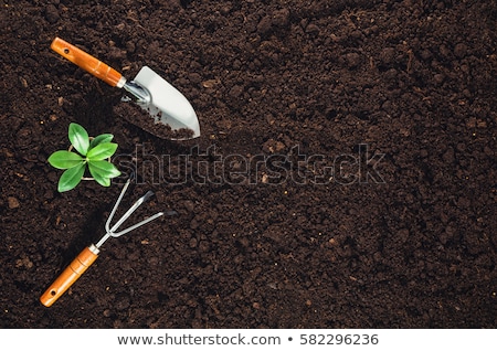 Foto stock: Gardening Shovel In The Frame