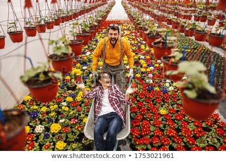 Foto stock: Man Pushing Wheelbarrow In Plant Nursery