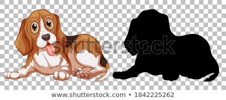 Сток-фото: Beagle Dog And Its Silhouette