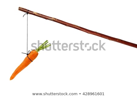 String And Carrot Stok fotoğraf © ajt