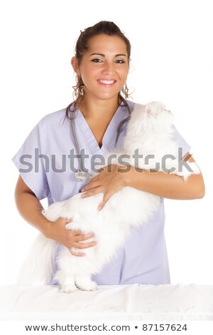 Stock photo: Veterinary Hugging White Angora Cat