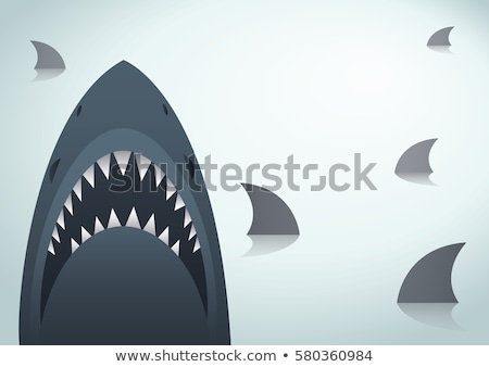 Stock photo: Marine Predator Shark Design Flat