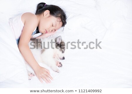 Stock fotó: Dog And Girl Sleeping On Mat