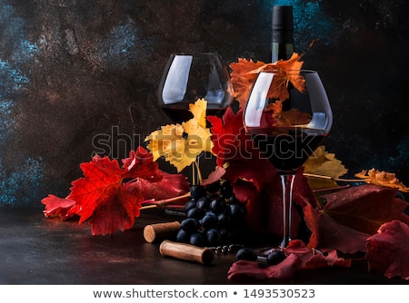 Stock photo: Vintage Still Life With Wine