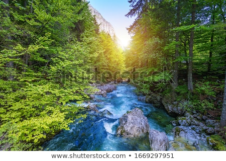 Сток-фото: Savica Waterfall At Bohinj Valley Slovenia