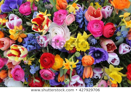 Stock photo: Bouquet Of Tulips And Daffodils