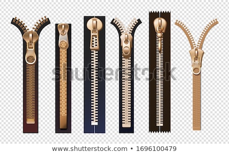 Stock photo: Set Of Golden Metal And Plastic Zipper Vector