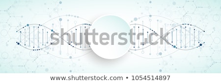 Stockfoto: Chromosome In Digital Background