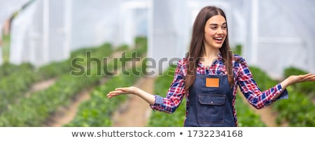 Foto d'archivio: Beautiful Environmentalist In Office