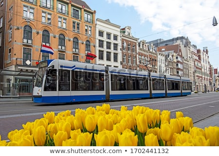 Zdjęcia stock: A Tram In Amsterdam