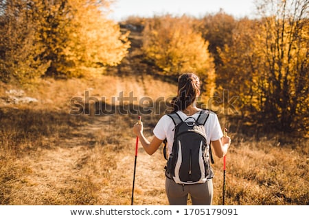 Stock photo: Nordic Walking