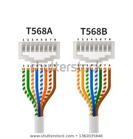 Stock foto: Rj45 Crossover Pin Assignment In T568a And T568b Connections Types Infographic Scheme