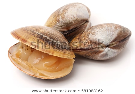 Foto stock: Ive · Clams