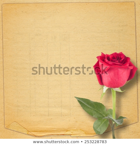 Foto d'archivio: Old Vintage Album For Photos With A Bouquet Of Red Roses And Tul