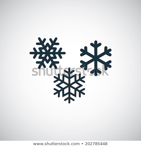 Zdjęcia stock: Snowflake Icon