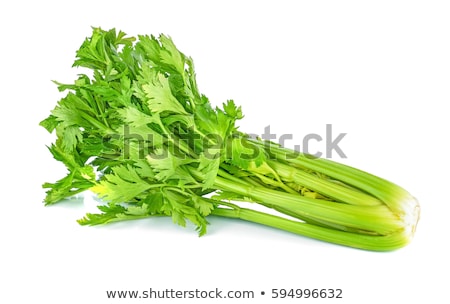 Stock fotó: Green Cabbage And Celery Isolated On White