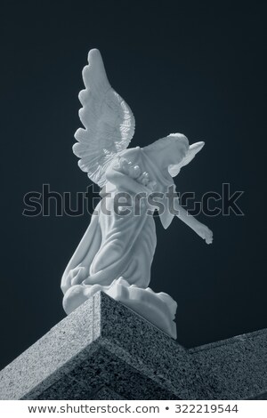 Stock photo: Cemetary In Infrared Light
