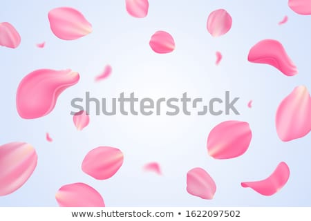 Stock foto: Pink Tulips On White Eps 10