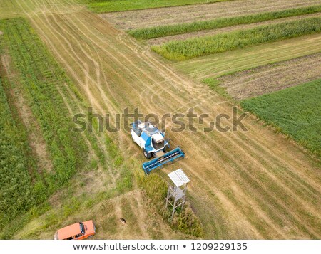 Stock foto: Aerial View Frome A Drone Of Combine Plowing The Ground After Harvesting On The Field In The Autumn