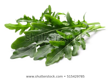 Foto stock: Arugula Eruca Sativa Clipping Paths